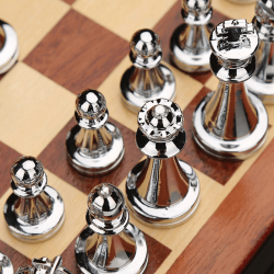 les pièces du jeu de stratégie chessmaster : jeu d'échecs